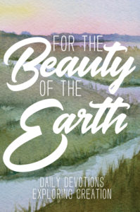 For the Beauty of the Earth